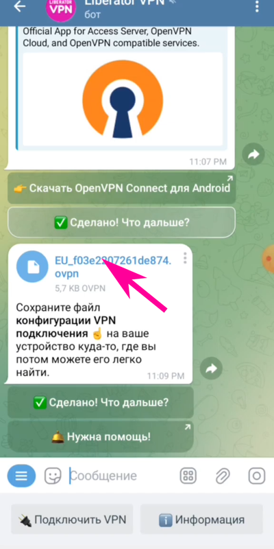 LiberatorVPN Telegram Bot - Import VPN configuration file